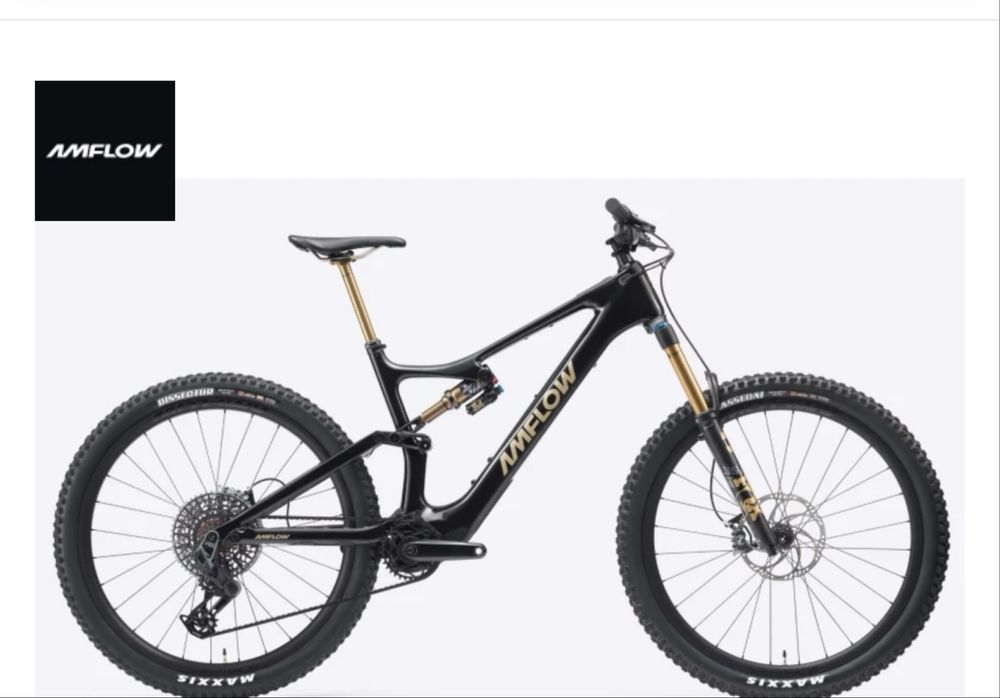 Bicileta amflow pro avinox