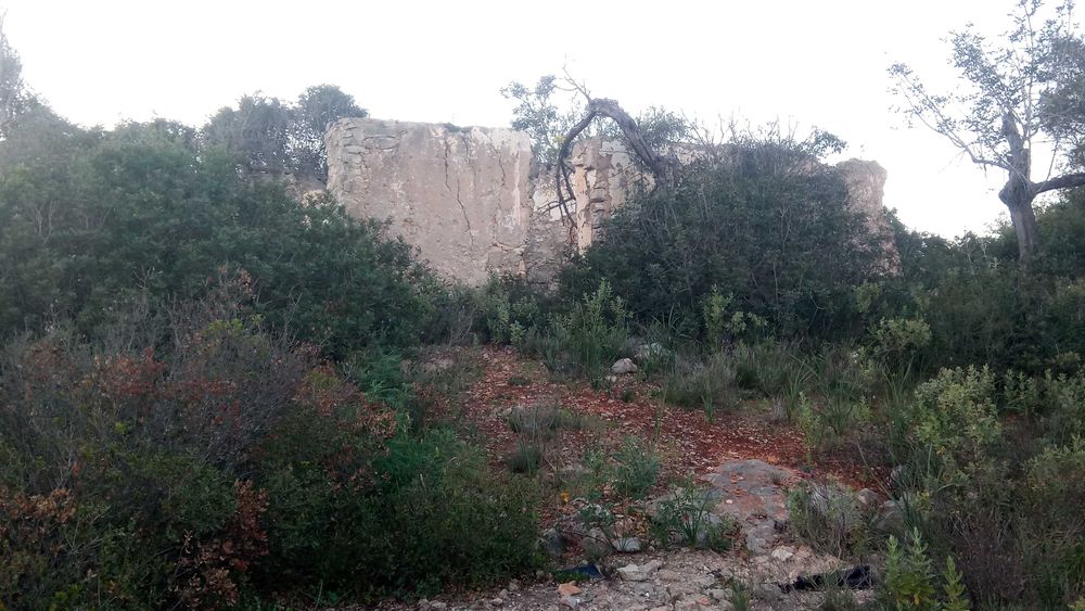 Terreno 4,6 Hect, ruína 120m2, Aldeia dos Matos, Paderne, Albufeira