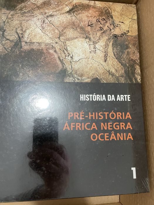 Livros historia da arte salvat