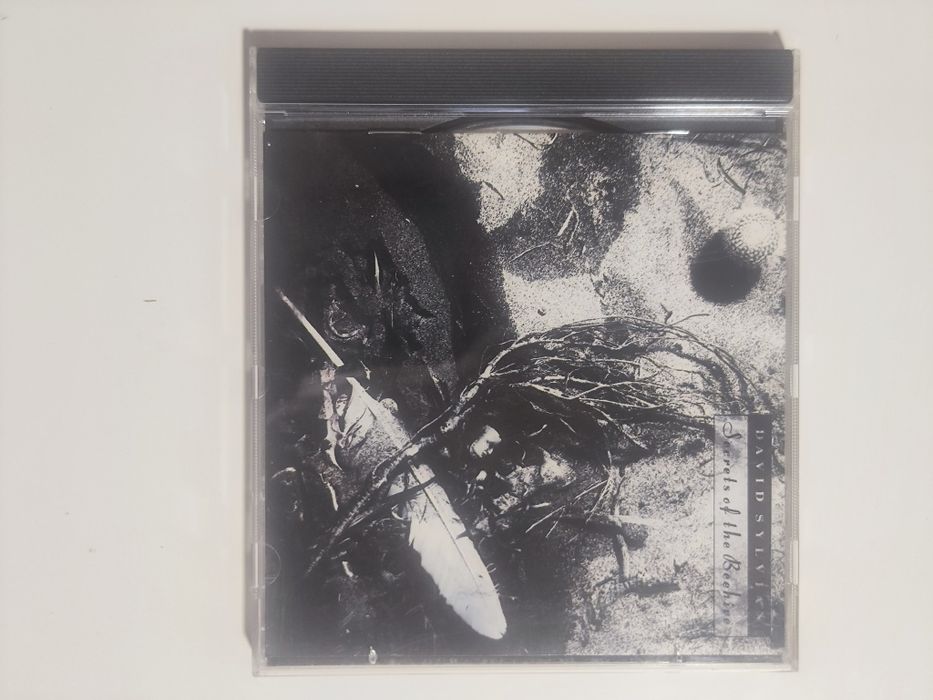 DAVID SYLVIAN Secrets of the Beehive