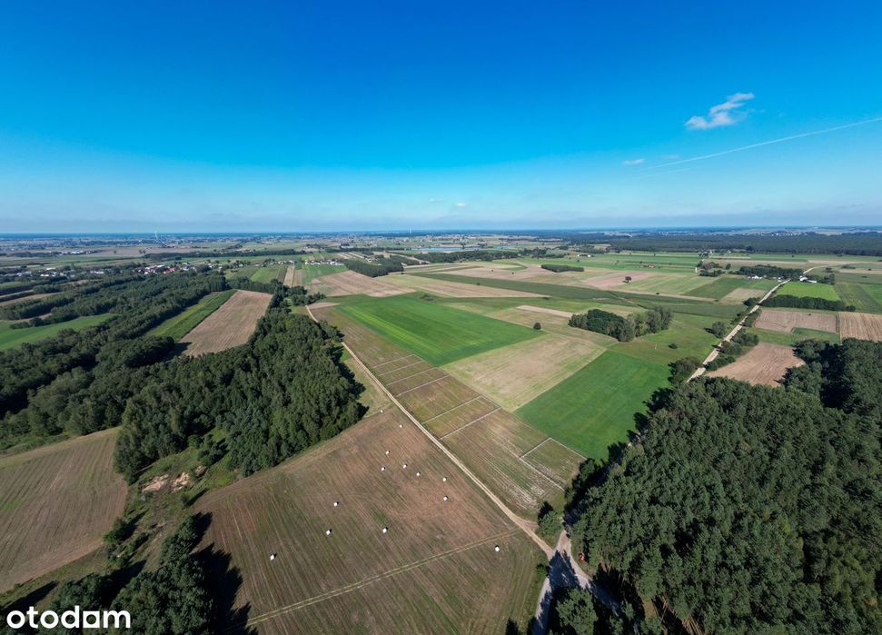 Działki budowlane przy lesie z WZ, 20 minut od Ostrowi Mazowieckiej - Widok 5