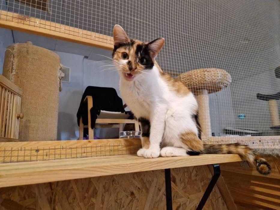 Przesłodka Kida szuka swojego zakątka