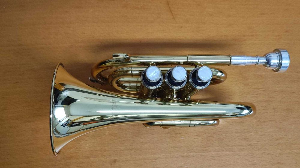 Trompete de Bolso - Pocket Trumpet em Si Bemol
