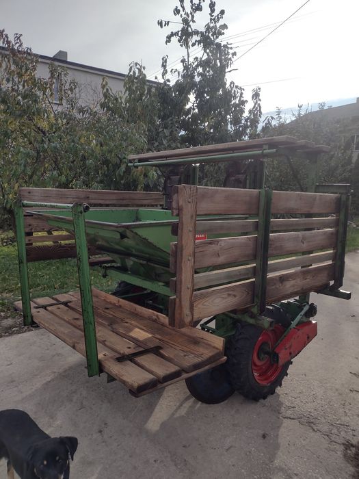 Sadzarka do ziemniaków kiełkowanych Hassia 2 podesty (gruse,unia kora)