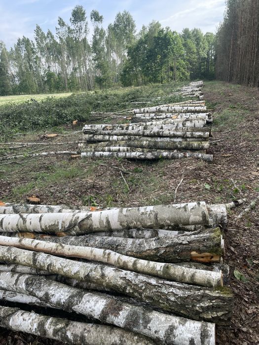 Drewno opałowe metry, wałki