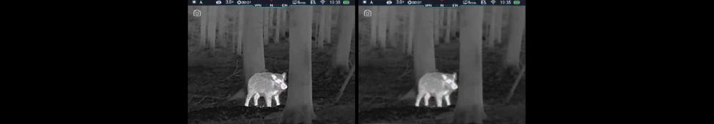 InfiRay Tube TL35 V2 celownik termowizyjny Warszawa Wawer pastoraly.pl