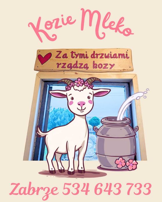 Mleko kozie z farmy alpak w Zabrzu Grzybowicach
