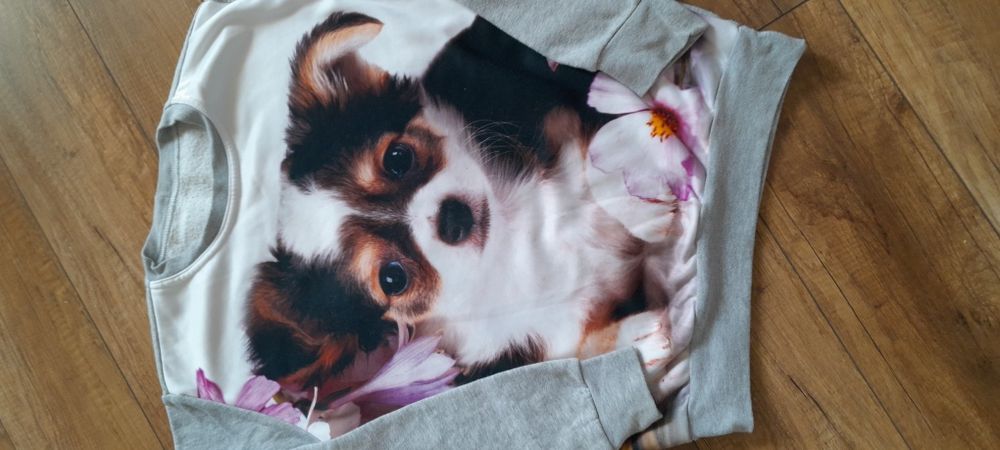 Bluza z zdjęciem psa rozm.s