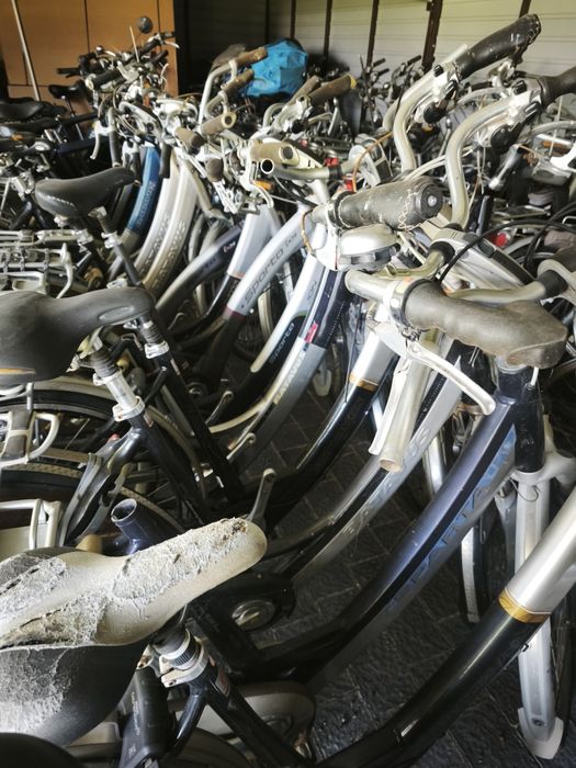 Pakiet rowerów ION Sparta Batavus 50 szt
