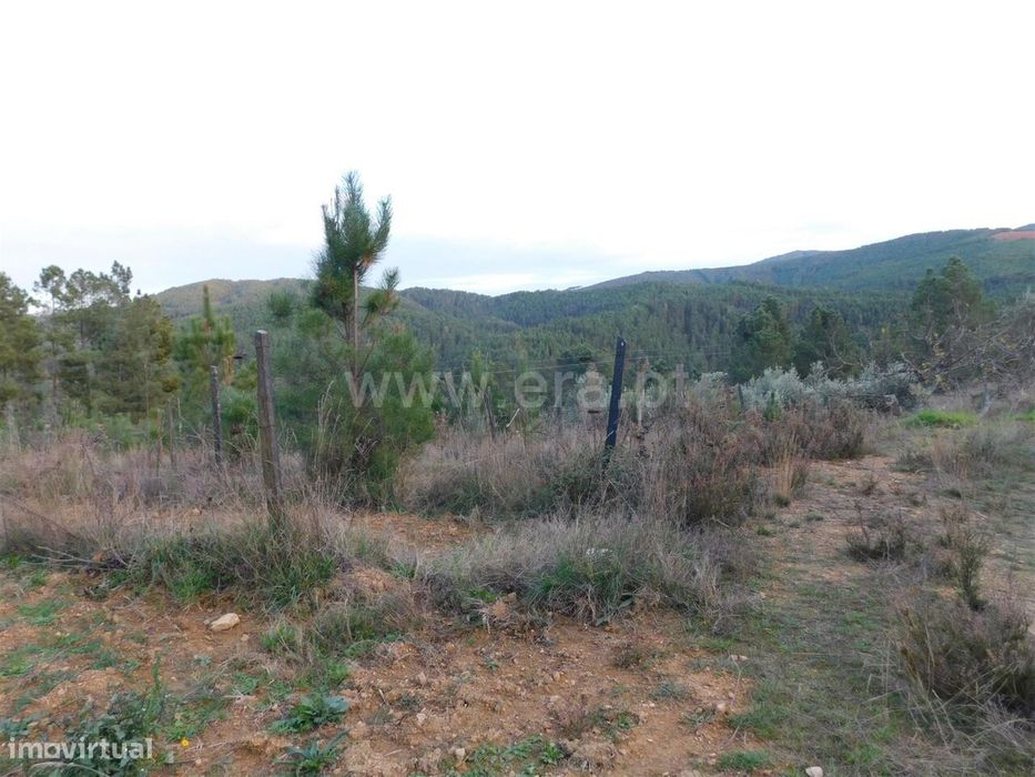 Terreno para Construção / Fundão, Silvares