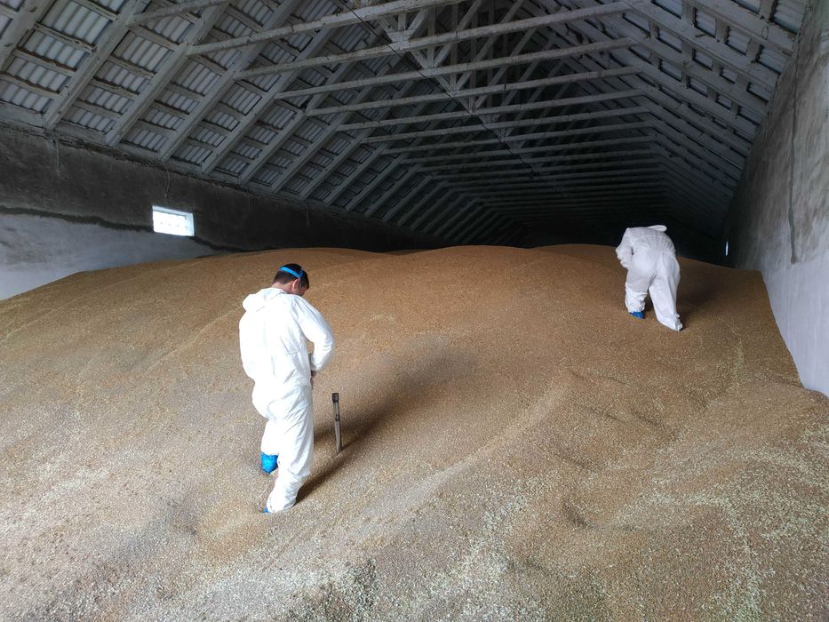 Дератизація Дезінсекція Газація Фумігація HACCP