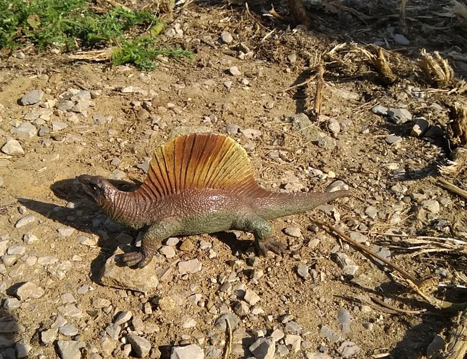 Dinosaurs, Replicas 164286560603649122