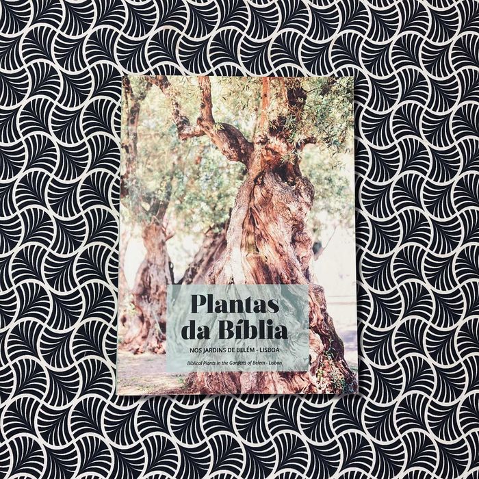 Plantas da Bíblia nos Jardins de Belém - Lisboa
