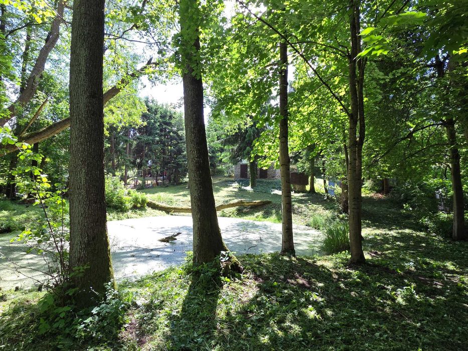 Dom nad Krutynią/Mazury