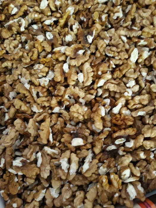 Orzechy włoskie świeżo łuskane