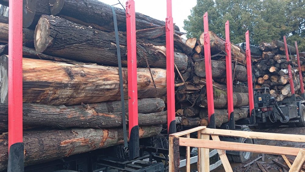 Drewno opalowe w kłodach suche