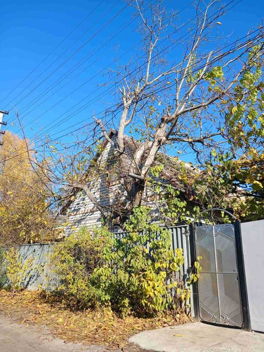 Спил дерев . Обрізка дерев.