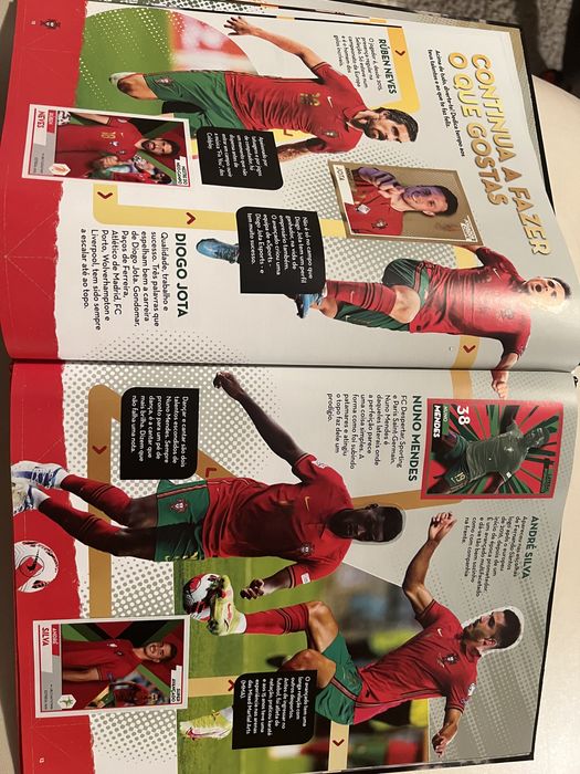 Caderneta Fome de Vencer 2022 Panini 84% completa