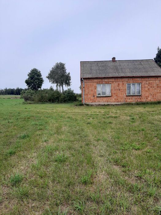 Sprzedam siedlisko blisko lasu.