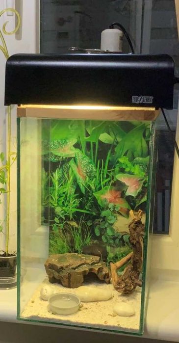 Террариум, 2 светильника-УФ-обогрев, коряга, пещера