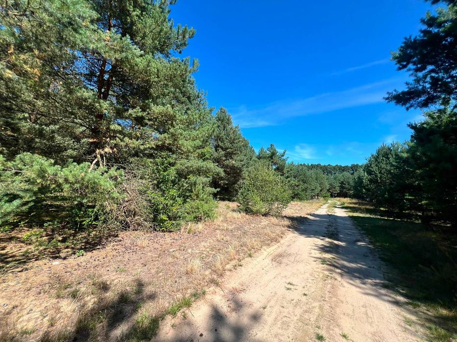 Działka budowlana 1442 m² na skraju lasu – Władysławów (97-225) - Więcej