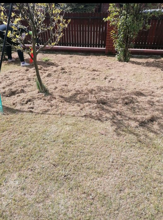 Chełm i okolice-Skracanie  Tuii, Koszenie trawy, wycinka drzew.