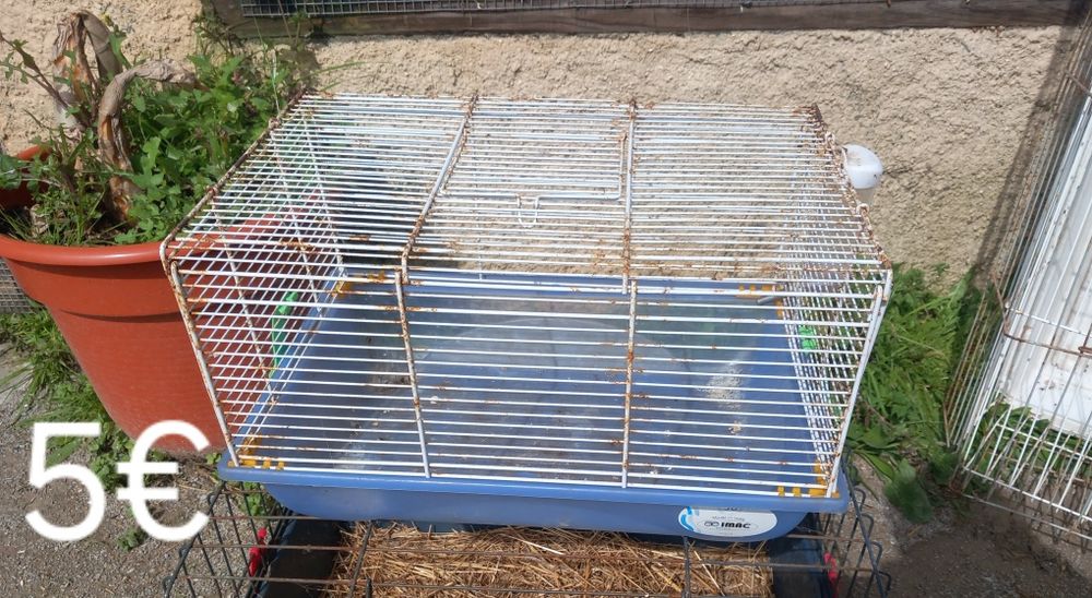 Várias gaiolas para coelhos,porcos da Índia ...