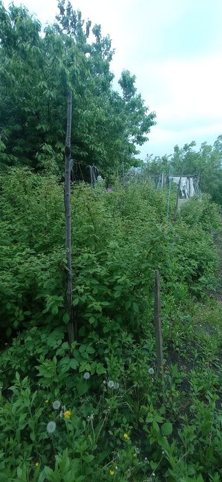 Продається новий 2-х поверховий будинок в Смотричі !!!
