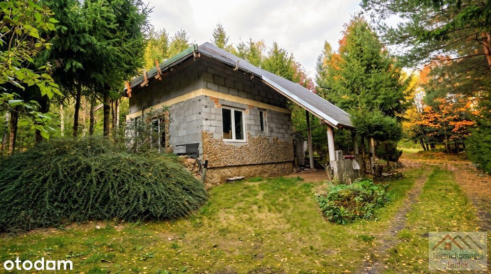 Wyjątkowa nieruchomość - 7600 m2 + 5 domków