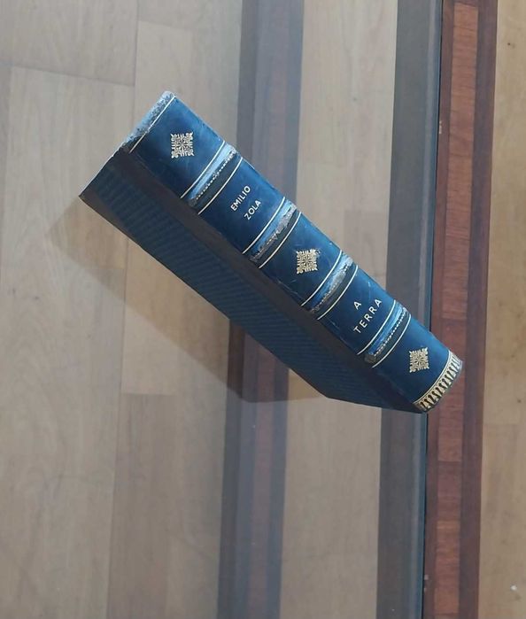 Livro A TERRA de Émile Zola (Português)