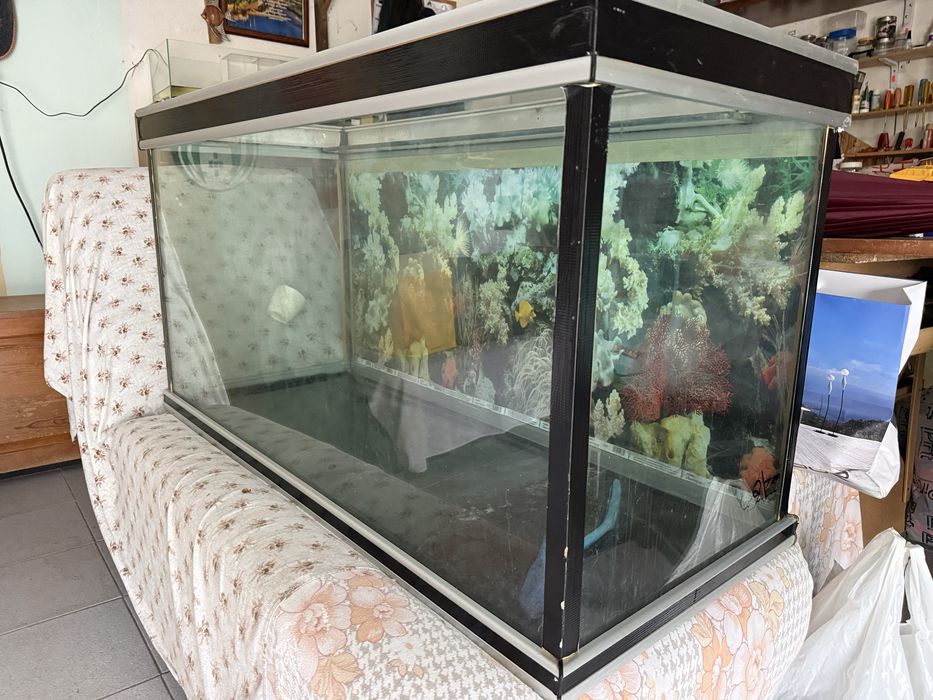 Aquario 120cm x 55cm x 55cm