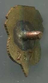 Odznaka Chrobry Szczecin