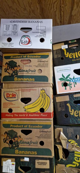 Kartony twarde po bananach czytaj opis