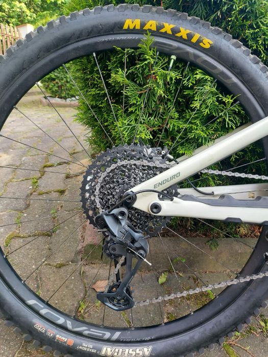 Rower Specialized Enduro Elite 2020