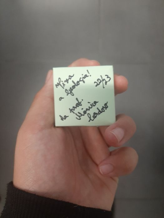 Turritela Miocénico Fóssil