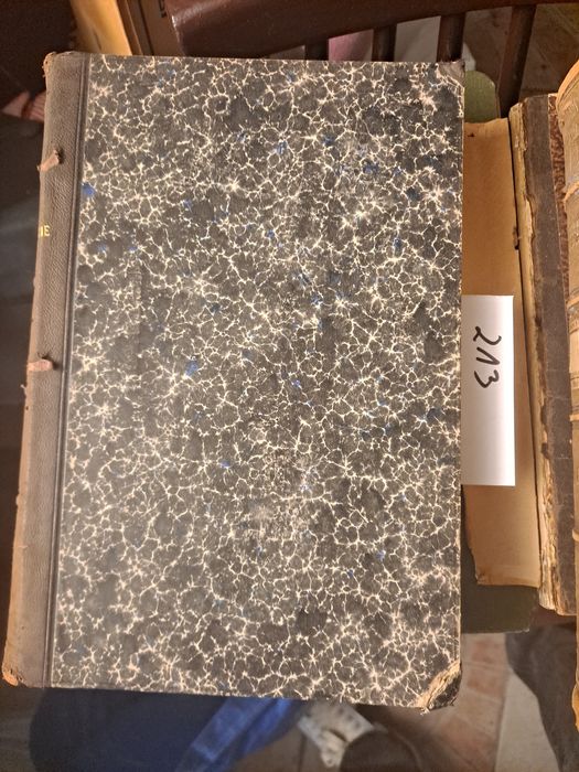 Die Krankheiten des Rindes choroby bydła