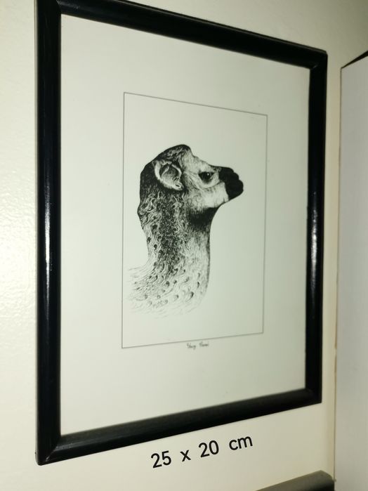 Quadros com desenhos árabes a aparo fino .