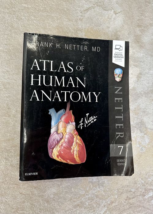 Livro Atlas of Human Anatomy (7ª Edição em Inglês) Frank H. Netter, MD