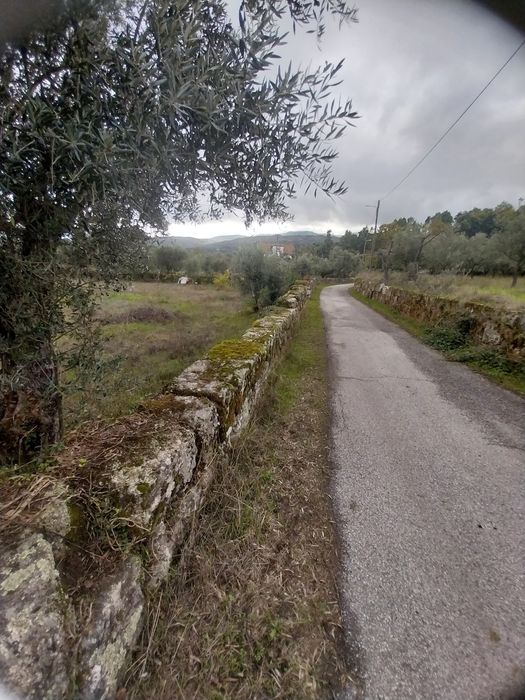Terreno rústico perto serra da estrela