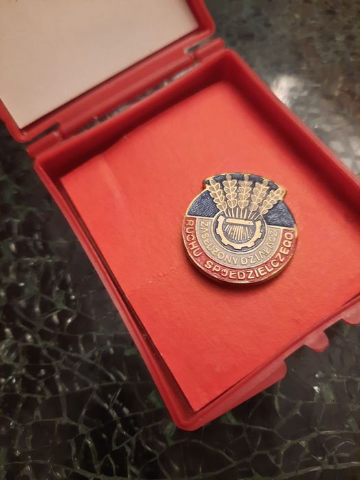 Przypinka zasłużony działacz Ruchu społecznego