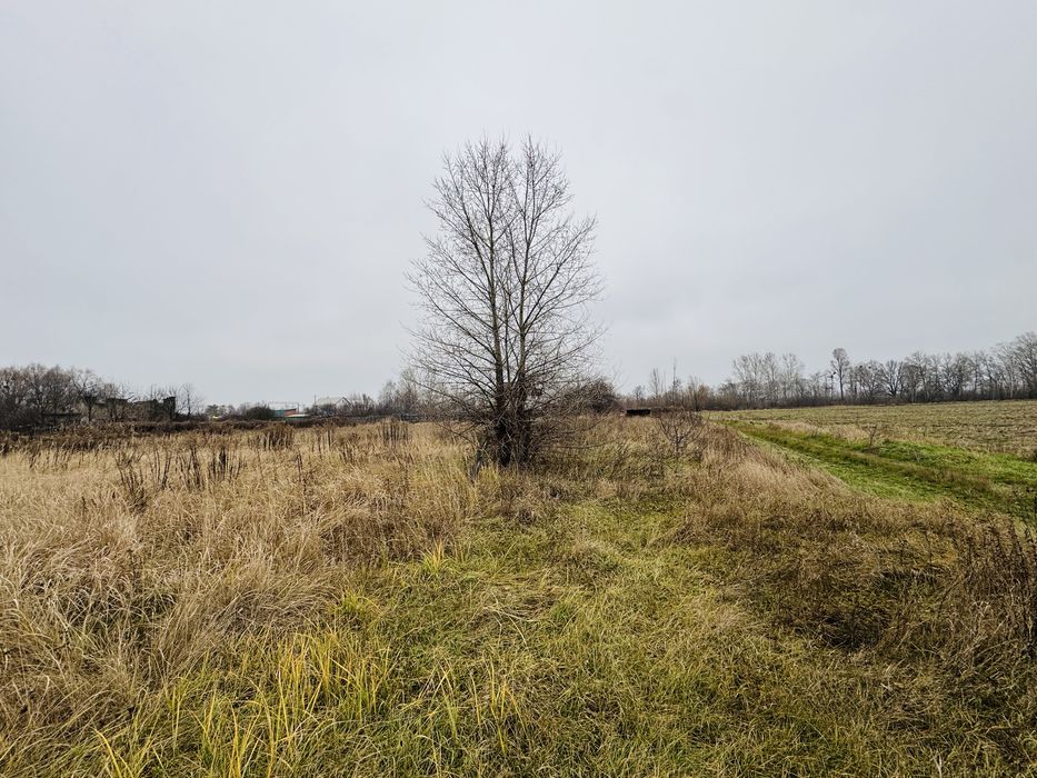 БЕЗ КОМІСІЇ, ділянка 15 соток під забудлву