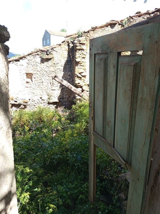 Vendo uma ruína em mós de Moncorvo