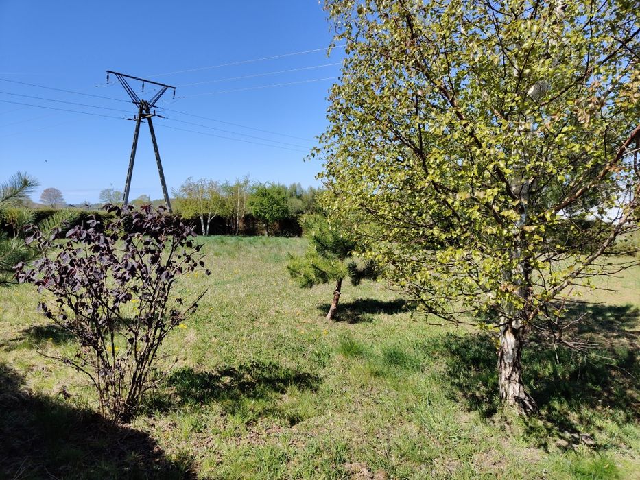 Sprzedam działkę siedliskową - Widok 3