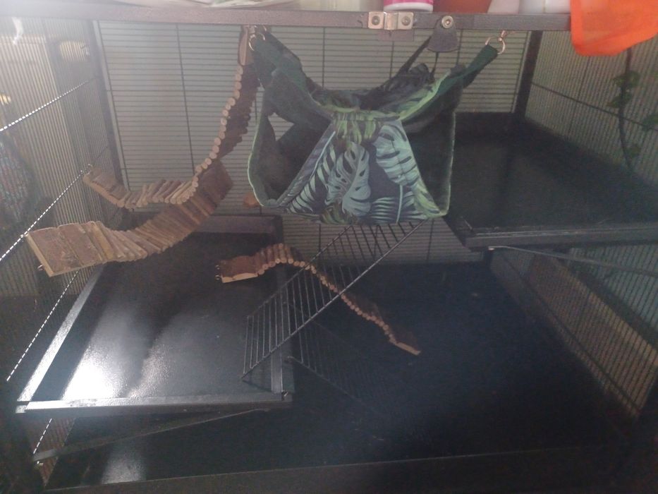 Klatka tiaki etagere