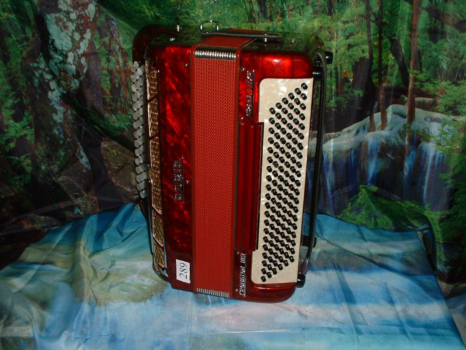 Acordeão Avenda G, .289