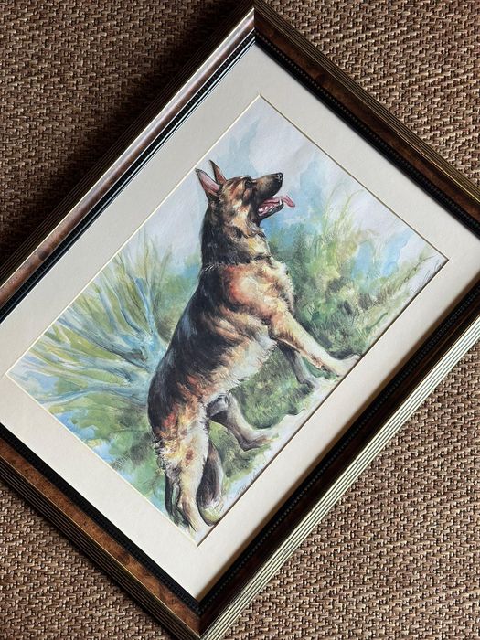 Pintura cão raça pastor alemão