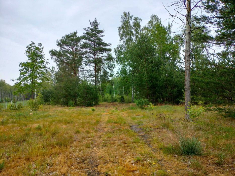 Działka 2300m2 Janów gm. Wolbórz