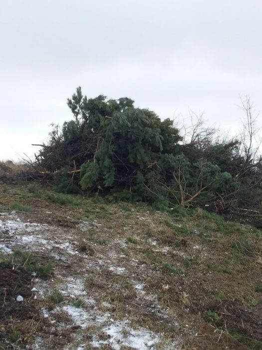 Послуги з  розчищення  ділянок,корчування пнів.