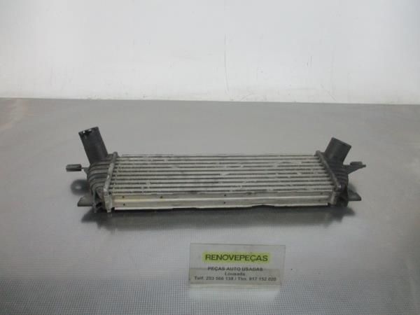 Radiador do intercooler RENAULT Kangoo (KC0/1_)