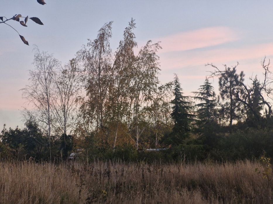 Дом по адресу ул. Деда Трофима (площадь 167 м²) - Atlanta.ua - фото 19